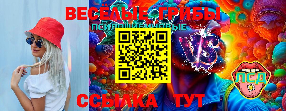 купить наркотики цена  Псилоцибиновые грибы прущие грибы  Миллерово  Вход с VPN  Галлюциногенные грибы MAGIC MUSHROOMS 